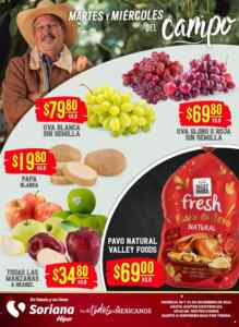 Martes y Miércoles del Campo Soriana 30 y 31 de diciembre: ofertas en frutas y verduras Imagen de la promo