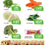 Folleto Soriana Súper Martes y Miércoles del Campo 23 y 24 de diciembre 2025