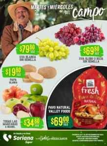 Folleto Soriana Súper Martes y Miércoles del Campo 30 y 31 de diciembre 2025 Imagen de la promo