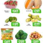 Folleto Soriana Súper Martes y Miércoles del Campo 30 y 31 de diciembre 2025 Folleto Soriana Súper Martes y Miércoles del Campo 30 y 31 de diciembre 2025