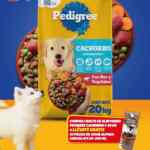 Folleto Navidad Zorro Abarrotero al 16 de diciembre 2025 Folleto Navidad Zorro Abarrotero al 16 de diciembre 2025