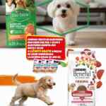 Folleto Navidad Zorro Abarrotero al 30 de diciembre 2025 Folleto Navidad Zorro Abarrotero al 30 de diciembre 2025