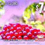 Martes y Miércoles del Campo Soriana 23 y 24 de diciembre: ofertas en frutas y verduras