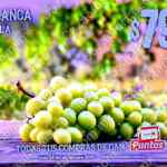 Martes y Miércoles del Campo Soriana 23 y 24 de diciembre: ofertas en frutas y verduras