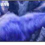 Pantalla QLED Samsung QEF1 Smart TV 4K UHD de 85 pulgadas baja de precio + 18 meses sin intereses