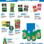 Folleto Chedraui Cuesta Menos Organizar y Limpiar al 31 de enero 2026