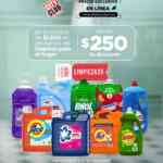 Promo City Club: $250 de descuento en limpieza para el hogar con cupón Promo City Club: $250 de descuento en limpieza para el hogar con cupón