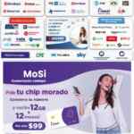 Folleto Farmacias Guadalajara Básicos a Precios ¡Muy Bajos! del 15 al 31 de enero 2026