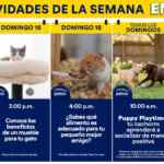 Aprendiendo con Petco Gratis Fin de semana 17 y 18 de enero 2026 Aprendiendo con Petco Gratis Fin de semana 17 y 18 de enero 2026