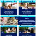 Aprendiendo con Petco Gratis Fin de semana 24 y 25 de enero 2026 Aprendiendo con Petco Gratis Fin de semana 24 y 25 de enero 2026