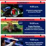 Aprendiendo con Petco Gratis fin de semana: 1 de febrero 2026 Aprendiendo con Petco Gratis fin de semana: 1 de febrero 2026