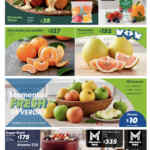 Folleto cuponera Sam’s Club al 2 de febrero 2026 Folleto cuponera Sam’s Club al 2 de febrero 2026