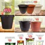 Folletos Soriana Preciazazaso, Super Bowl, San Valentín, Ofertas y Bebé Club al 11 de febrero 2026