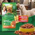 Folleto Zorro Abarrotero al 10 de febrero 2026