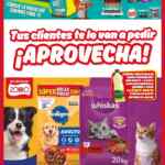 Folleto Rompe la Cuesta Zorro Abarrotero al 27 de enero 2026