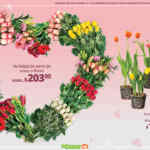 Folleto San Valentín La Comer: Segundo a Mitad de precio y más al 15 de febrero 2026 Folleto San Valentín La Comer: Segundo a Mitad de precio y más al 15 de febrero 2026