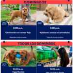 Aprendiendo con Petco Gratis fin de semana: 22 de febrero 2026