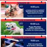 Aprendiendo con Petco Gratis fin de semana: 28 de febrero 2026 Aprendiendo con Petco Gratis fin de semana: 28 de febrero 2026