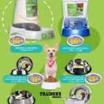 Folleto Especial Mascotas Soriana al 25 de febrero 2026