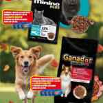 Folleto Cuaresma Zorro Abarrotero al 24 de febrero 2026