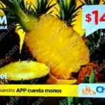 Martimiércoles Chedraui de frutas y verduras 3 y 4 de febrero 2026 Martimiércoles Chedraui de frutas y verduras 3 y 4 de febrero 2026