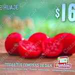 Martes y Miércoles del Campo Soriana 24 y 25 de febrero: ofertas en frutas y verduras