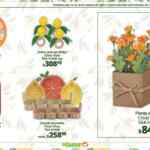 Folleto Vacaciones La Comer con Segundo a Mitad de precio y más, válido al 26 de marzo 2026