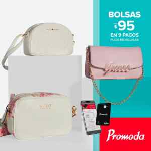 Bolsas desde $95 en Promoda Outlet Imagen de la promo