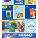 Folleto cuponera Sam's Club Socio Fest 2026 del 13 al 19 de marzo