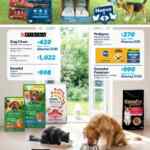 Folleto cuponera Sam’s Club al 31 de marzo 2026 Folleto cuponera Sam’s Club al 31 de marzo 2026