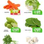 Folleto Soriana Súper Martes y Miércoles del Campo 10 y 11 de marzo 2026