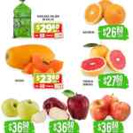 Folleto Soriana Súper Martes y Miércoles del Campo 17 y 18 de marzo 2026