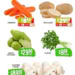 Folleto Soriana Súper Martes y Miércoles del Campo 24 y 25 de marzo 2026