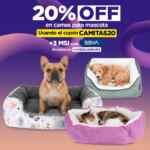 Promo Waldo's: 20% de descuento en camas para mascota con cupón Promo Waldo's: 20% de descuento en camas para mascota con cupón