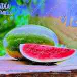 Martes y Miércoles del Campo Soriana 10 y 11 de marzo: ofertas de frutas y verduras