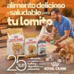 En Maskota: 25% de descuento en Royal Canin En Maskota: 25% de descuento en Royal Canin