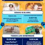 Actividad Gratuita fin de semana en Petco