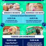 Actividades Gratuitas fin de semana en Petco