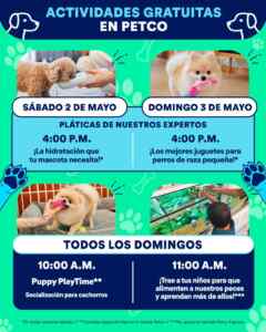Imagen de la promo