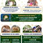 Actividades Gratuitas fin de semana en Petco