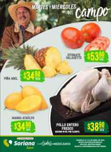 Folleto Soriana Súper Martes y Miércoles del Campo 14 y 15 de abril 2026 Imagen de la promo