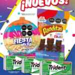 Folleto Zorro Abarrotero al 21 de abril 2026