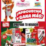 Folleto Zorro Abarrotero al 21 de abril 2026