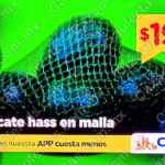 Martimiércoles Chedraui de frutas y verduras 21 y 22 de abril 2026