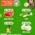 Miércoles de Plaza 20 de mayo: frutas y verduras en la Comer y Fresko