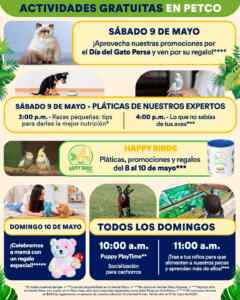 Imagen de la promo