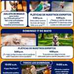 Actividades Gratuitas fin de semana en Petco