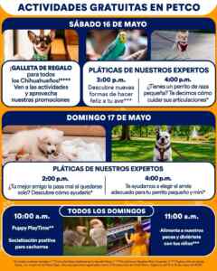 Imagen de la promo