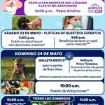 Actividades Gratuitas fin de semana 23 de mayo 2026 en Petco
