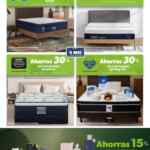 Folleto cuponera Preventa Hot Sale 2026 Sam’s Club al 24 de mayo 2026 Folleto cuponera Preventa Hot Sale 2026 Sam’s Club al 24 de mayo 2026